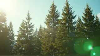 Pulse of Czech Mountains | Official Music Video 🏔️ (LTX studio)