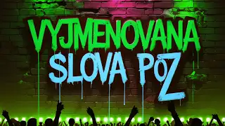 Uč se rapem! Vyjmenovaná slova po Z - zábavné učení pro děti i dospělé